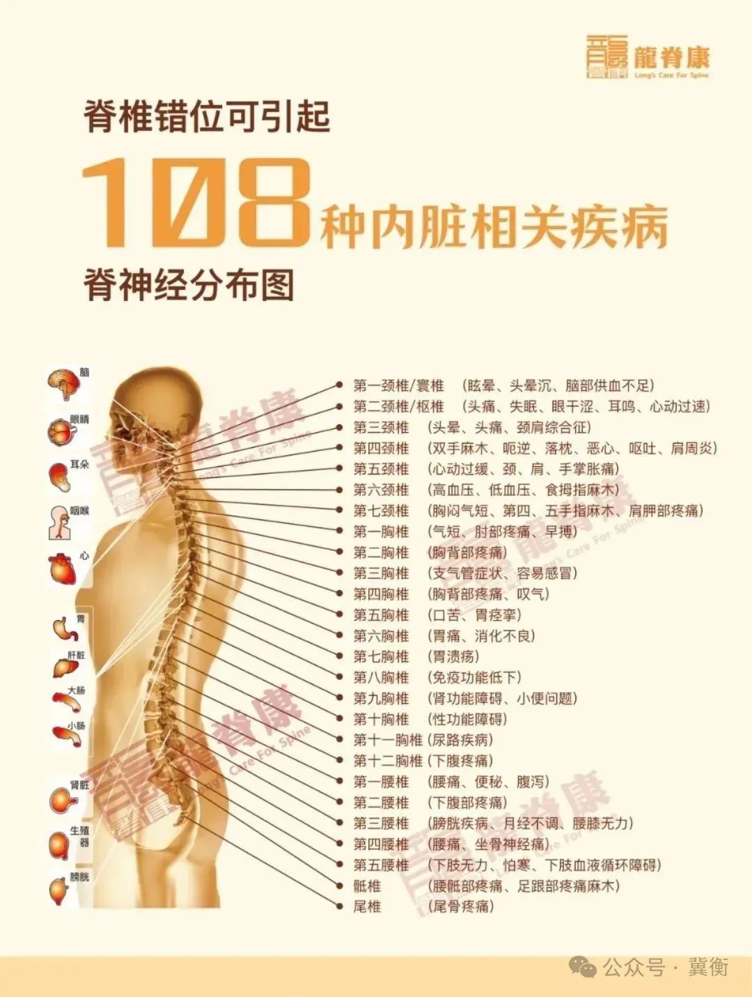 沈彤杜惠玲联合打造中西医脊柱侧弯诊治全模块7D 课程精讲班
